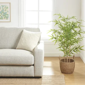 Artificiële bamboeboom – L75 x D75 x H122 cm – Groen – BAMBOUSERAIE Artificiële bamboeboom – L75 x D75 x H122 cm – Groen – BAMBOUSERAIE
