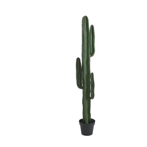 Artificiële cactus – L26 x D20 x H145 cm – Groen – GUADA Artificiële cactus – L26 x D20 x H145 cm – Groen – GUADA