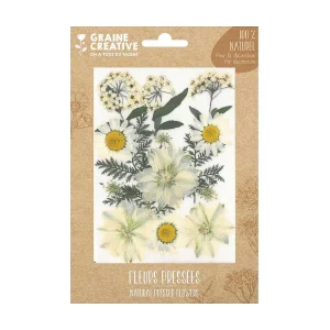 15 geperste bloemen – witte weide 15 geperste bloemen – witte weide