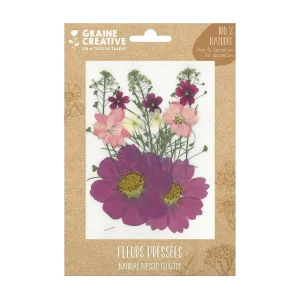 14 geperste bloemen – Parma weide 14 geperste bloemen – Parma weide
