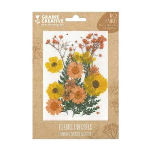 18 geperste bloemen – gele weide