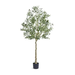 Kunstboom SucceBuy 179 cm, Kunstplant PE, voor Huis Kantoor Winkelcentra Binnen Buiten Kunstboom SucceBuy 179 cm, Kunstplant PE, voor Huis Kantoor Winkelcentra Binnen Buiten