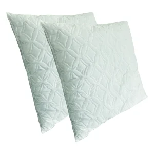 2 stevige traagschuimkussens, anti-huisstofmijt en anti-allergisch, 60 x 60 cm 2 stevige traagschuimkussens, anti-huisstofmijt en anti-allergisch, 60 x 60 cm