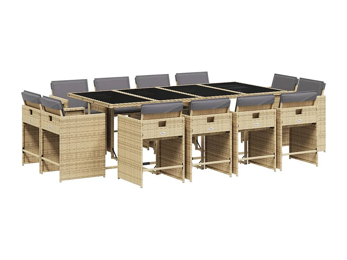 An Daingean 13-delige Tuinset met kussens poly rattan gemengd beige