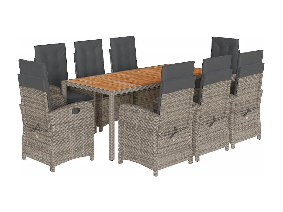 Adrien-Paul 9-delige Tuinset met kussens poly rattan grijs