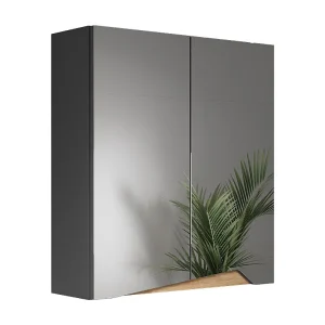 Badkamerspiegelkast antraciet/artisan 60x20x67 marelle