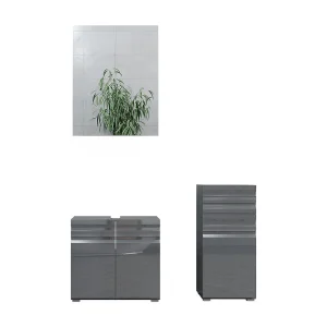 Badkamermeubel set antraciet hoogglans 56x34x60 fredd