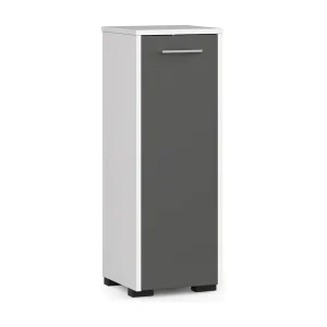 Badkamer Kast Staand Fin S30 1D Wit/Grafietgrijs
