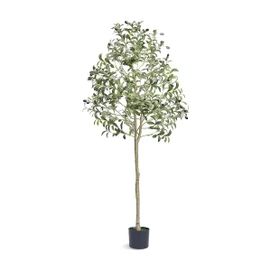 Kunstboom SucceBuy 155 cm, Kunstplant PE, voor Huis Kantoor Winkelcentra Binnen Buiten Kunstboom SucceBuy 155 cm, Kunstplant PE, voor Huis Kantoor Winkelcentra Binnen Buiten