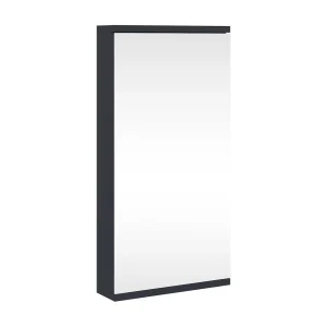 Badkamerkast met spiegel 30x24x60 cm grijs Badkamerkast met spiegel 30x24x60 cm grijs