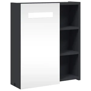 Badkamerkast met spiegel en LED 45x13x52 cm grijs Badkamerkast met spiegel en LED 45x13x52 cm grijs