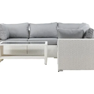 Amazon loungeset 2 delen grijs,wit. Amazon loungeset 2 delen grijs,wit.