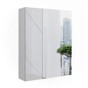 Badkamerspiegelkast wit/wit hoogglans 60×17.2×75 irma