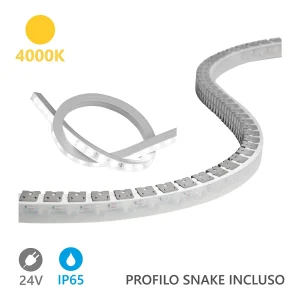 Alcapower Wall Washer Ledstrip 5m 24V 4000K 20W/m 1650lm/m IP65 Silicone CRI 90 Hoge Lichtopbrengst voor Architecturale Verlichting Alcapower Wall Washer Ledstrip 5m 24V 4000K 20W/m 1650lm/m IP65 Silicone CRI 90 Hoge Lichtopbrengst voor Architecturale Verlichting