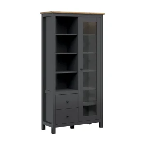 1-deurs vitrinekast met 2 LED-laden Eend Antracietgrijs en Hout